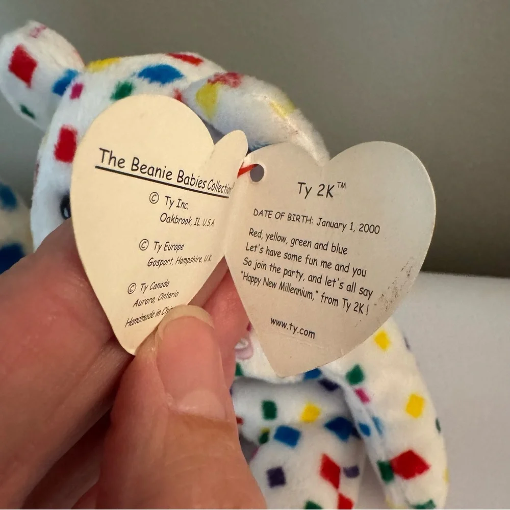 Vintage Ty 2K Multicolor Beanie Baby & Matching Beanie Buddy